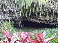 Fern Grotto