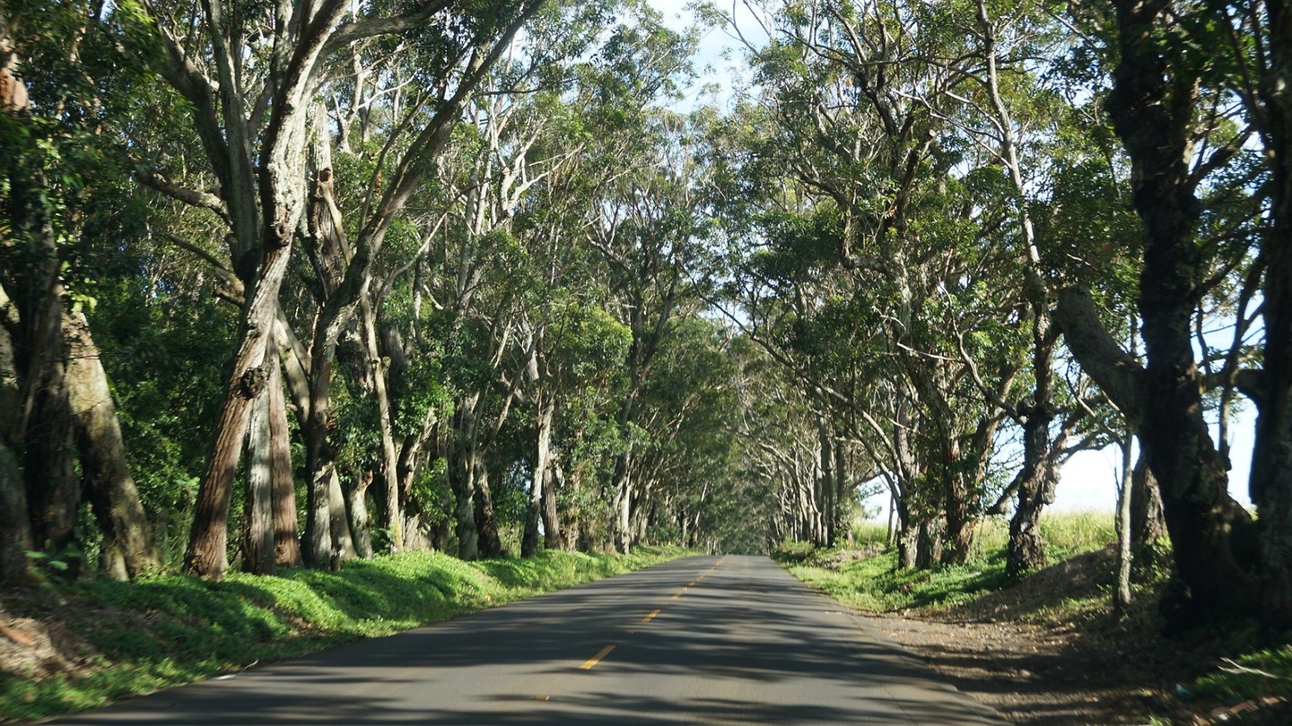 DSC01294