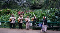 Het hawaiiaans entertainment ging mee naar de Fern Grotto