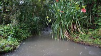 Riviertje dwars over de weg