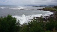 DSC01372