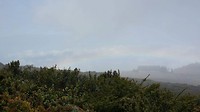 Volgens Sandra mét regenboog