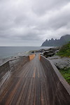 Tungeneset