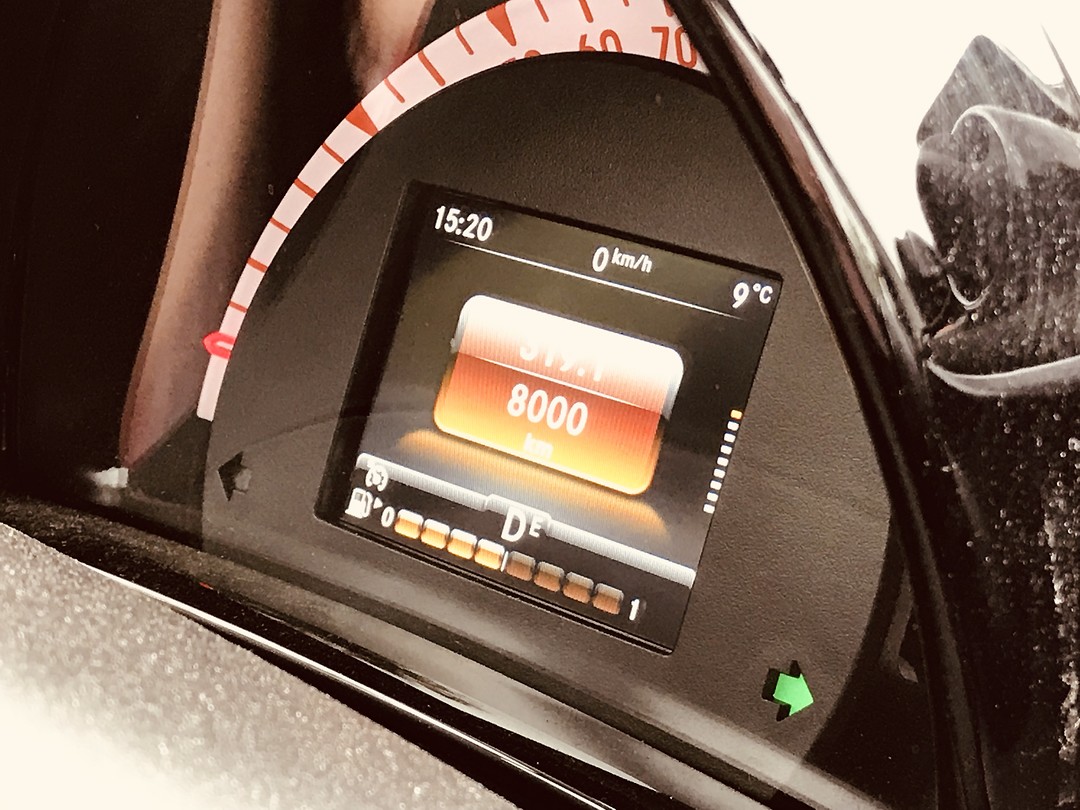 Smarty celebrates 8000 km on this scenic road before taking the boat