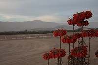 IMG_5970