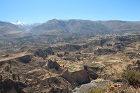 IMG_6450