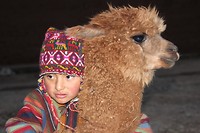 kindje met alpaca