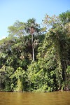 beeld over het meer en de jungle