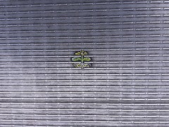 20160503_143635