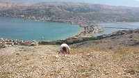 Stad Pag op Pag