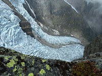Buarbreen