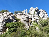 IMG_20190727_100703307
