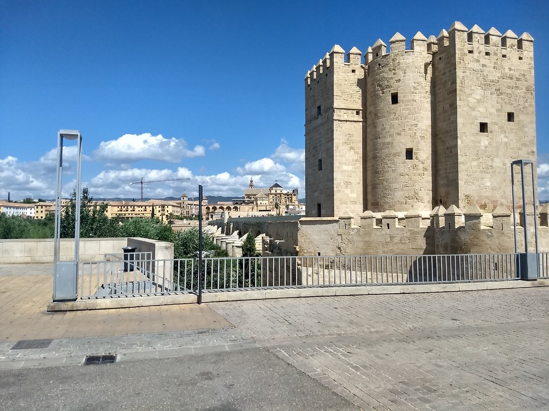 IMG_20190728_123414200_HDR