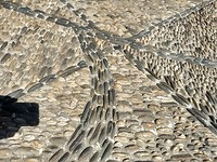 IMG_20190728_122450315_HDR