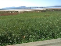 IMG_20190729_113029043