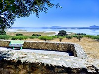 IMG_20190729_123433866_HDR~2