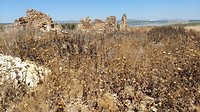 IMG_20190729_125752452