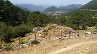 IMG_20190801_133804767