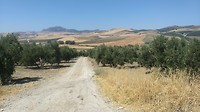 IMG_20190803_131227185