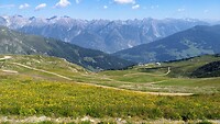 IMG_20200730_101427106~2