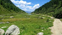 Urgsee