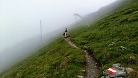 IMG_20200803_102238054