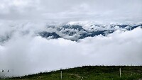 IMG_20200803_100621448_HDR