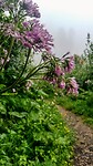 IMG_20200804_135325878_HDR