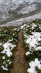 Pad in de sneeuw