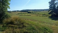 IMG_20200805_172642844
