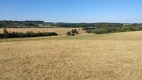 IMG_20200805_171341680