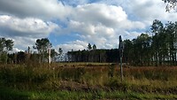 IMG_20210807_175129880