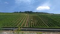 IMG_20220723_141521384