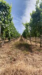 IMG_20220723_140951545_HDR