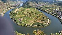 IMG_20220724_155024229_HDR