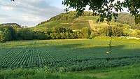 IMG_20220725_201944233_HDR