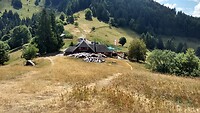 IMG_20220726_140332066_HDR