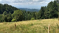 IMG_20220726_134324481_HDR