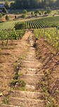 IMG_20220727_194310444