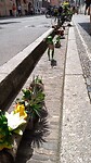 IMG_20220727_125926395