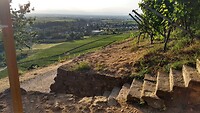 IMG_20220727_195401654_HDR