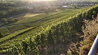 IMG_20220727_203015121_HDR