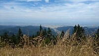 IMG_20220728_123731727