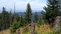 IMG_20220728_135452338