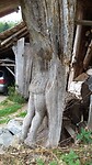 IMG_20220728_175345982