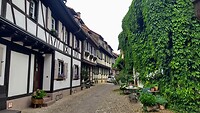 IMG_20220729_164426626_HDR~2