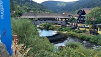 IMG_20220731_132545721_HDR