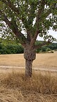 IMG_20220801_104958209_HDR