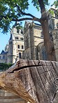 IMG_20220803_111050753_HDR