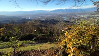 IMG_20231128_145301883